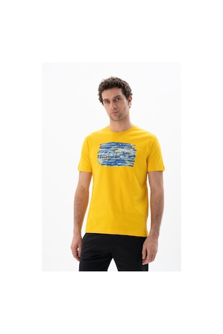 AR-MA Arma Erkek Regular Fit Bisiklet Yaka Tişört Y25344403001 Sarı