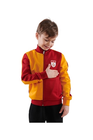 Galatasaray Metin Oktay Çocuk Ceket C88102 Sarı - Kırmızı