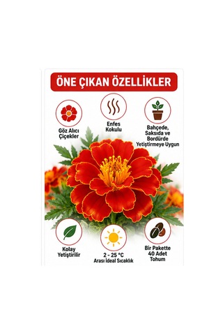 Sunagri Karagöz Kadife Çiçeği Tohumu Saksı Bahçe Bordür Yetiştiriciliğine Uygun 40 Adet