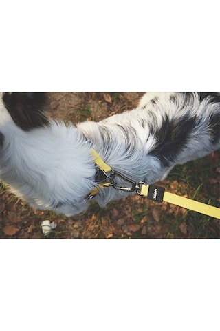 M-pets Wild Safari Köpek Gezdirme Kayışı Sarı Small-medium 1x120 Cm 244-58032.01 Renkli