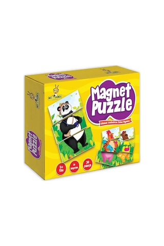 Magnet Puzzle Dikkat Geliştiren Zeka Oyunu 9786257632188