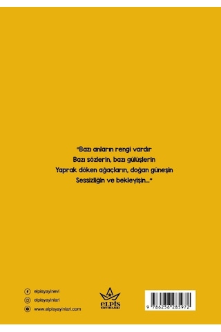 Rastlaşınca - Nurdan Kasar - Elpis Yayınları