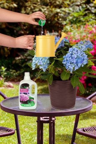 Ortanca Sıvı Bitki Besini Sıvı Gübre 500 Cc 1 kg
