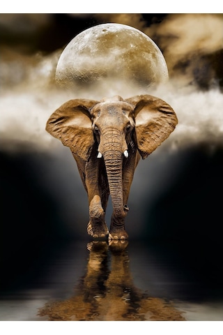 39416 Clementoni. Elephant. 1000 Parça Puzzle