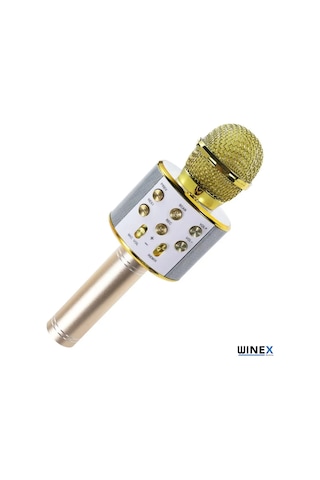 Winex Usbatf Sd Kart+3.5 MM Giriş Bluetooth Karaoke Mikrofonu Gold