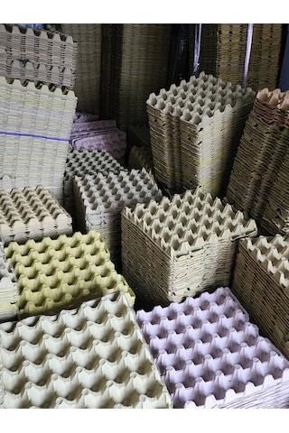 10 Adet 30'lu Karton Yumurta Viyolü 10 Adet Toptan Viyol