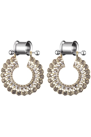 Homyl 1 Çift Paslanmaz Çelik Kulak Ölçer Tünel Kiti Altın