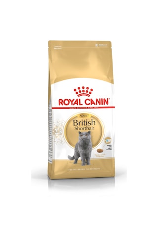 Royal Canin British Shorthair Yetişkin Kedi Maması 10 KG