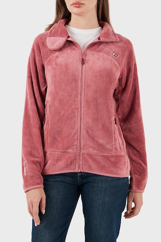 Norway Geographical Bayan Polar Upalıneb Pembe Pembe