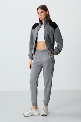 Tommy Life Gri Melanj Kompakt Pamuklu Kalın Pürüzsüz Dokulu Standart Fit Kadın Eşofman Altı - 94660 GRİ MELANJ