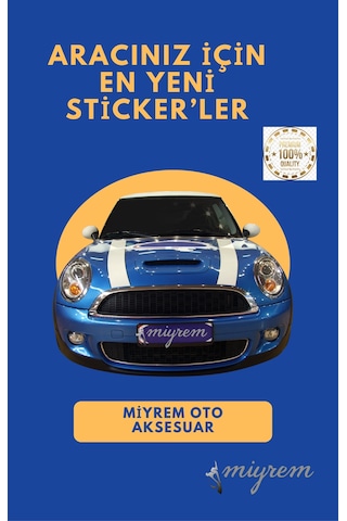 Miyrem Autosticker^ Arabada Prenses Var Sticker Duvar Dekor Sticker 40 X 52 Cm