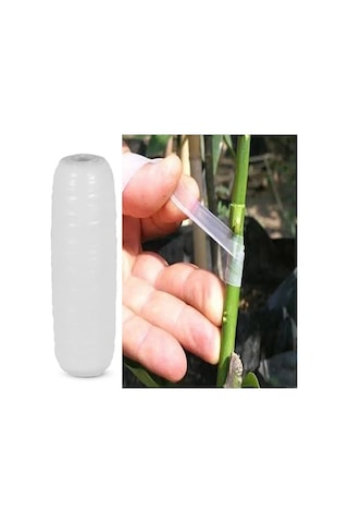 40 Metre Şeffaf Silikon Ağaç Aşı Bandı 250 Gr