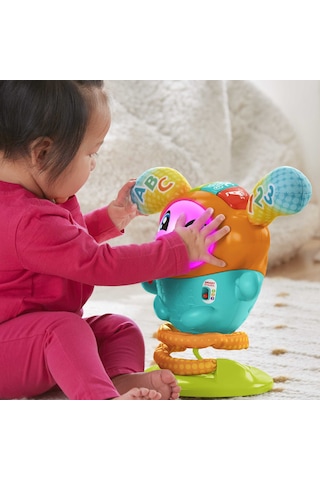 Fisher-Price Sevimli DJ HJP89