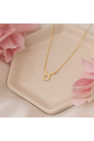 Dkmn Gümüş Burç Kolye