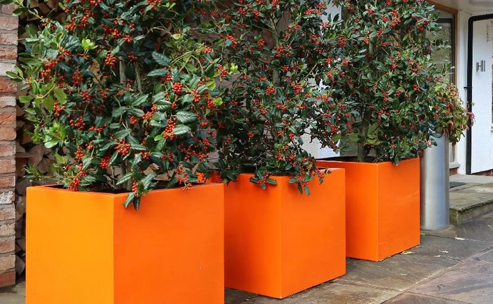 Mofiba Fiberglass Saksı Kare 30cm 30cm 30h Cm Turuncu