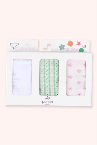Panço Kız Çocuk Çiçek Desenli 3'lü Slip Seti Renkli