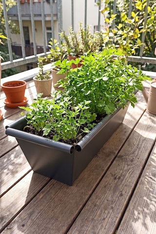 Metal Dikdörtgen Balkon Saksılığı - 53 Cm Paslanmaz Galvaniz Dekoratif Yatay Çiçeklik Antrasit