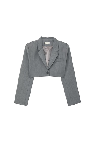 Reborn Society Kadınlar Için Şık Yaka Detaylı Crop Blazer Gri