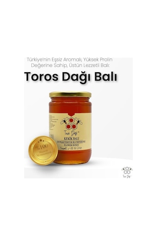 Toros Dağı Kekik Balı 860 G