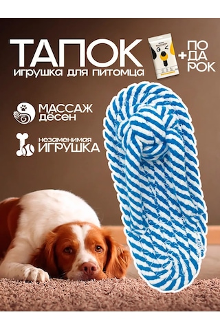 Zoolend Köpekler İçin "terlik" Diş Temizleme Oyuncağı 269556962