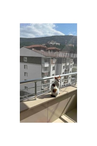 2.20 X 3 Metre Beyaz Balkon, Kedi Ve Kuş Filesi