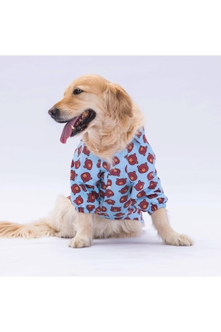 Pawstar Bear Orta Büyük Irk Köpek Gömleği