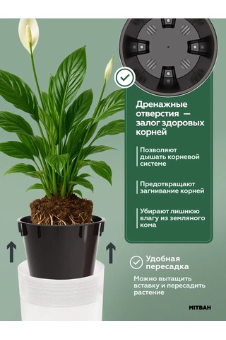 Mıtbah Çiçekler Ve Bitkiler İçin 2 Adet 2,7 Litrelik Saksı 412406254