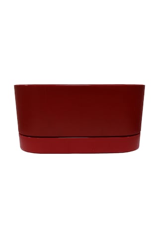 Poliwork Begonya Balkon 30 Bitki ve Çiçek Saksısı 5.5 Litre