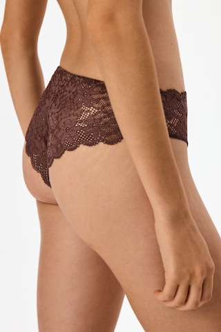 Penti Kahverengi Dantelli Slip Külot Bn83
