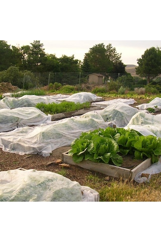 3,2x25 METRE 17gr AGRİL ISI DON ÖRTÜSÜ, ZİRAİ DON KIRAĞI ÖRTÜ KAR
