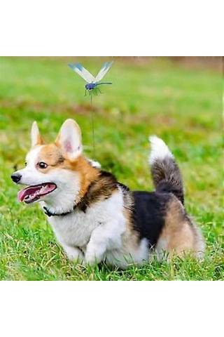 20 Adet Bahçe Dekorasyonu Yusufçuk Sahte Yusufçuklar Bahçe Çubukları 3d Şapka Klipsi Yusufçuk Klipsi İç Mekan Dış Mekan Veranda Süsleri İçin