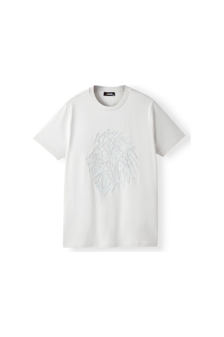 Gsstore Galatasaray Erkek T-shirt E252099 Gri