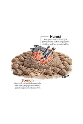 Obivan Kitten Somonlu Ve Hamsili Yavru Kedi Maması 2 Kg