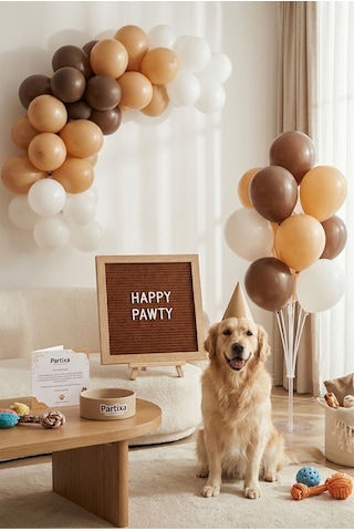 Kedi Köpek Doğum Günü Süsleme Deluxe Set Kahve Keçe Yazı Panosu Standlı Balon Zincirli 7li Şeffaf Balon Standlı Set Tüm Yaşlar