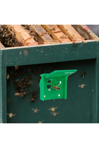 Homyl Kovan Kapısı Gelişmiş Koruma Kullanımı Kolay Hafif Girişi