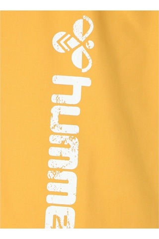 Hummel Erkek Şort Mayo Maika 950060-2226