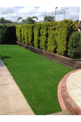 Grass Mixture 7 Çeşit 7m Çim Tohumu 1 Kg