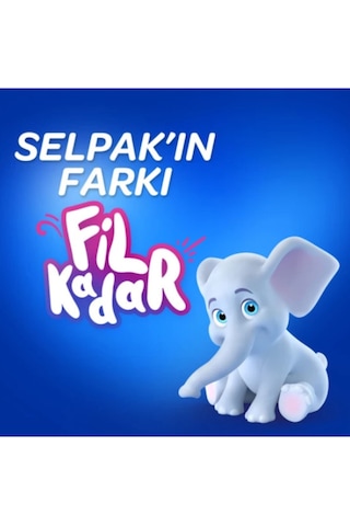 Selpak Kağıt Havlu 12'Li 2 Adet