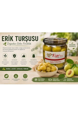 Yeşil Erik Turşusu 450 Gr