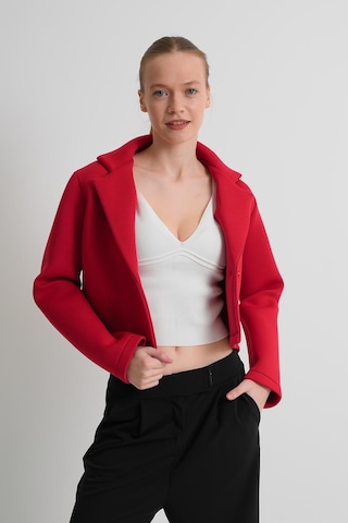 Alexander Gardi Alexandergardı Astarsız Crop Blazer Ceket Kırmızı