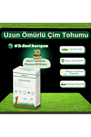 Ebitkisel Çok Yıllık Çim Tohumu 1 Kg Uzun Ömürlü 6'lı Karışım