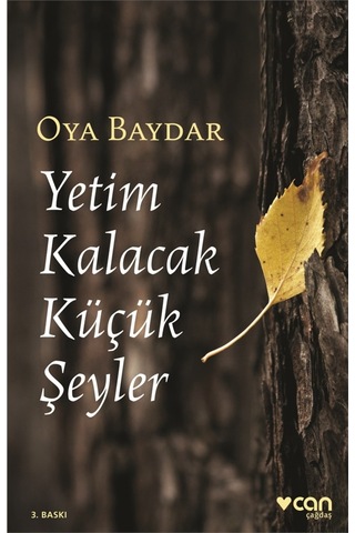 Yetim Kalacak Küçük Şeyler: An’Lar Kitabı - Oya Baydar - Can Yayınları