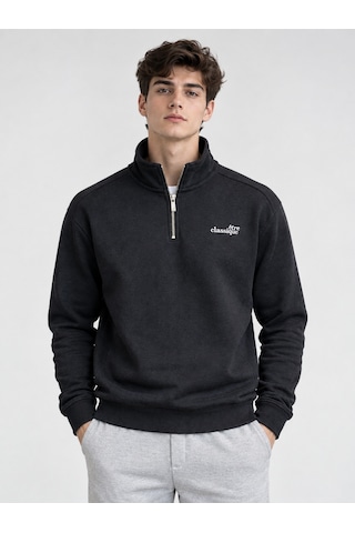 We&me Erkek Regular Fit Yarım Fermuarlı Dik Yaka Basic Sweatshirt Çok Renkli