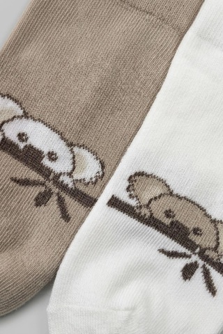 Cocole Socks Erkek Çocuk Patik Çorabı 2 Li Set Krem & Bej Koala Desenli Çok Renkli