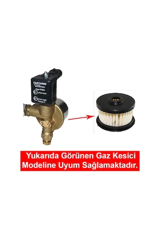 Tartarini Gaz Kesici İç Filtre Eski Tip