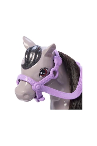 Mattel Barbie Chelsea Bebek Ve Midilli Figür Seti Htk29