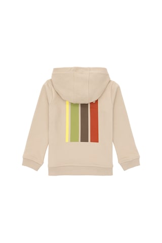 U.S. Polo Assn. Erkek Çocuk Taş Kapüşonlu Sweatshirt 50293489-VR049