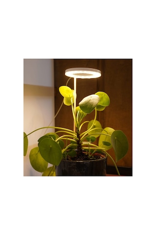 Tam Spektrumlu Bitki Yetiştirme Led Lamba Melek Halka Günışığı 8w 5v Usb