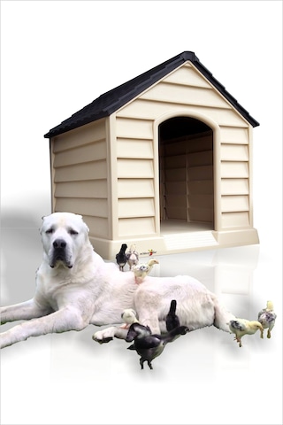 M3 Decorium Dev Büyük Geniş Köpek Evi Kulübesi Kafesi Yuvası Kümesi 100 CM