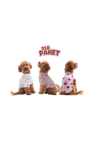 Summer Dreams Yaz Rüyası 3lü Sweat Set Kedi Köpek Sweati-kedi Köpek Kıyafeti